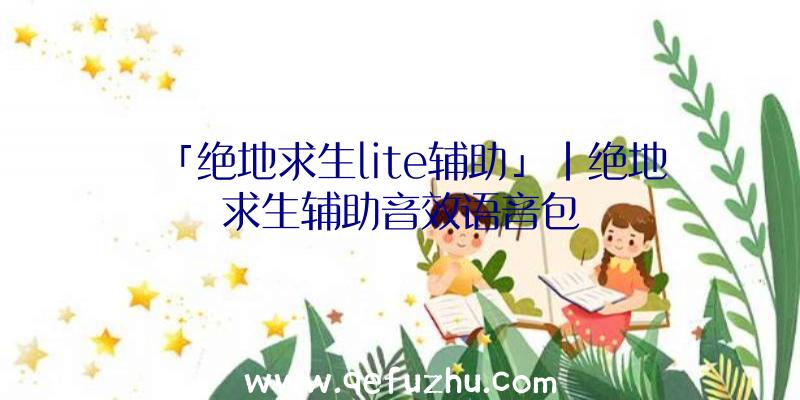 「绝地求生lite辅助」|绝地求生辅助音效语音包